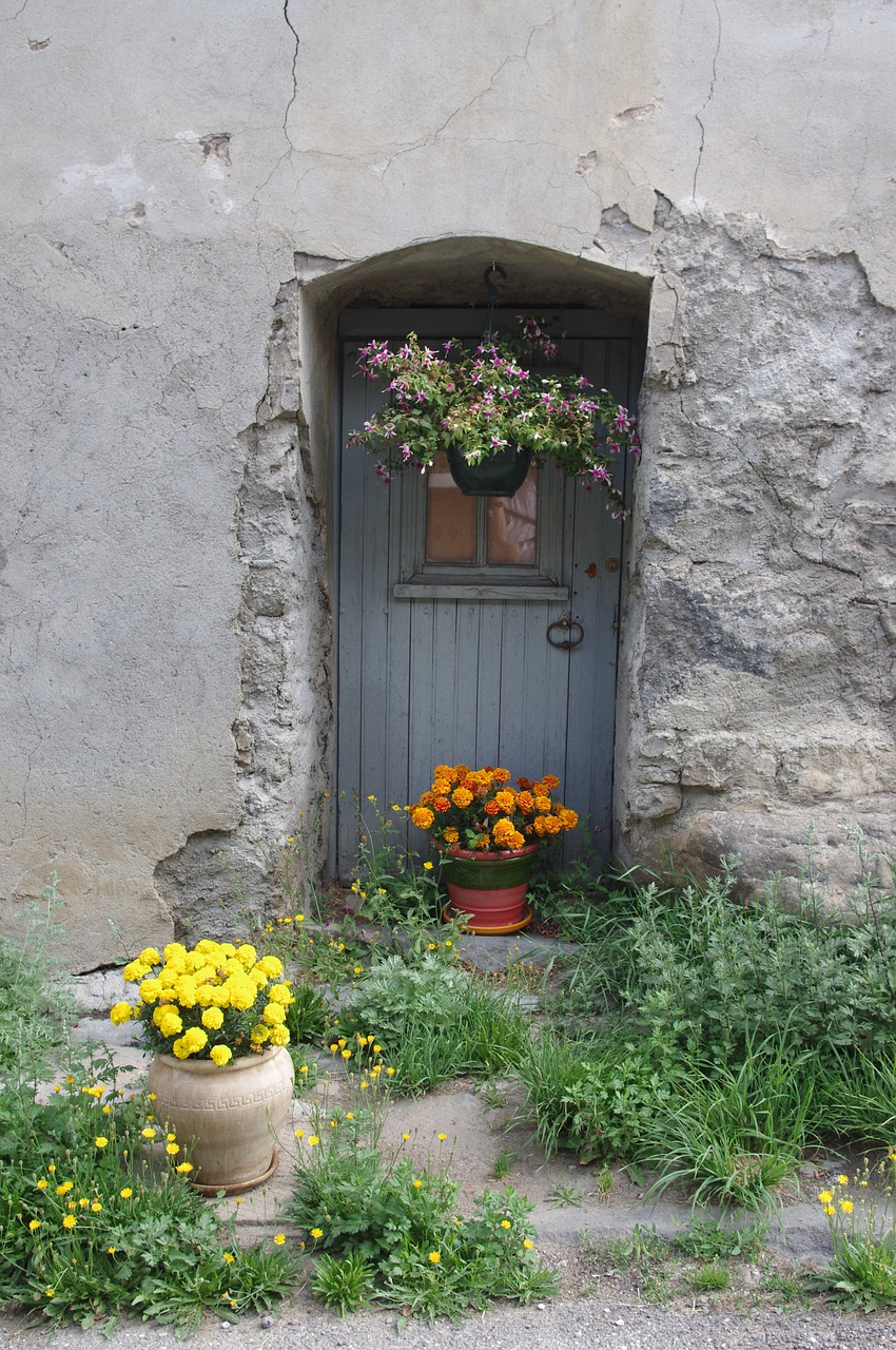 door flowers alpine free photo