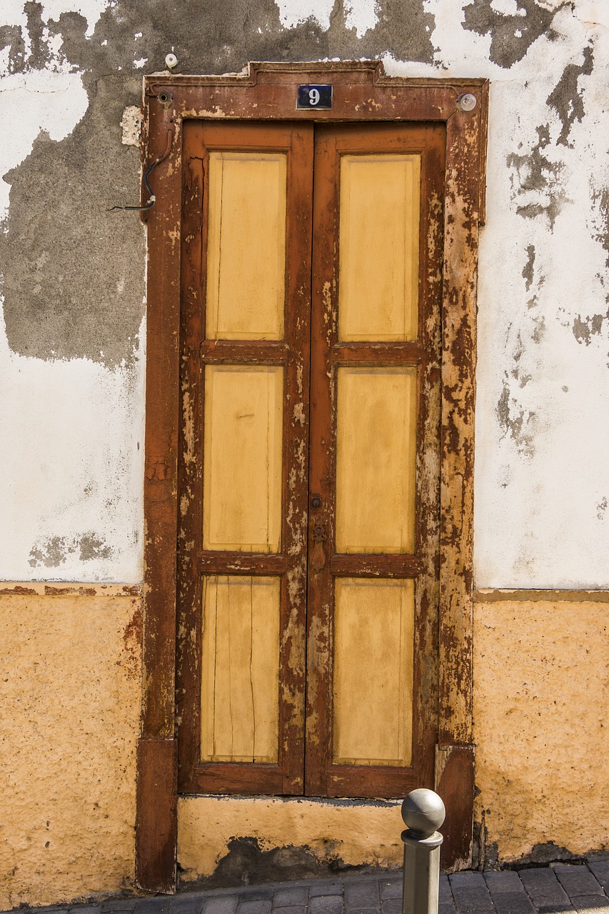 door goal old door free photo