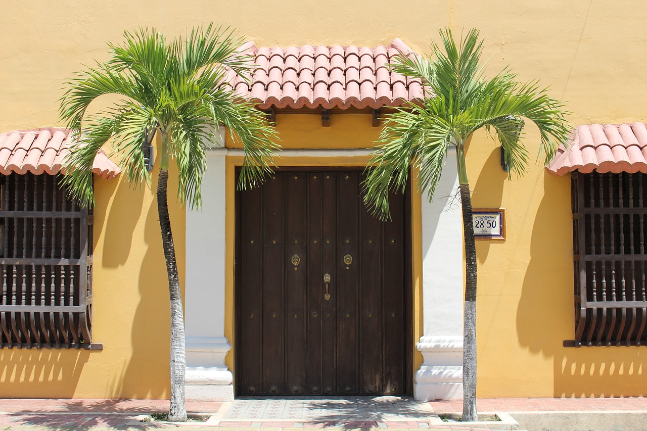 door palma palm tree free photo