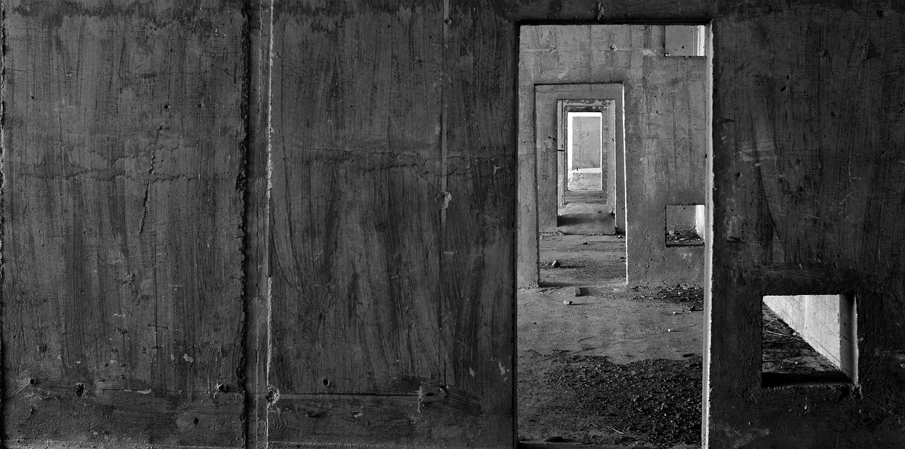 door black white window free photo