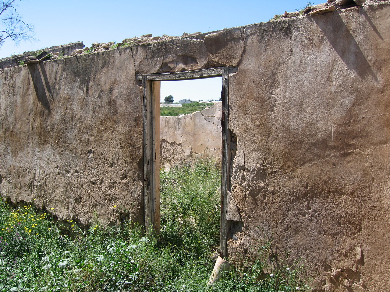 door old old door free photo