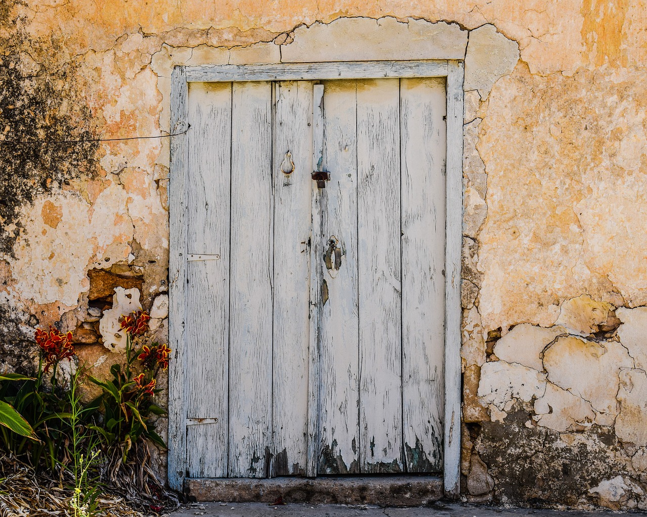 door old aged free photo