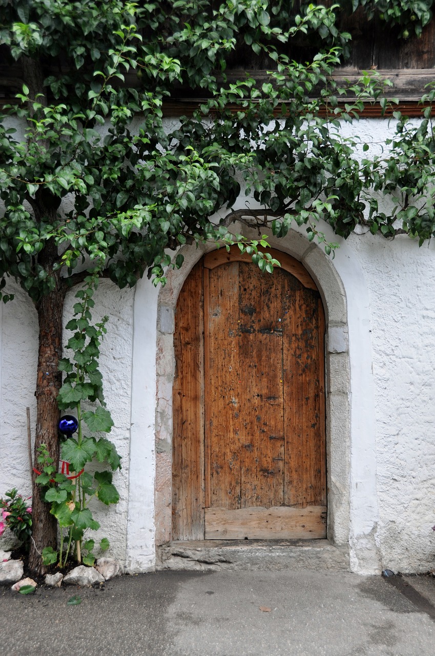 door tree house free photo