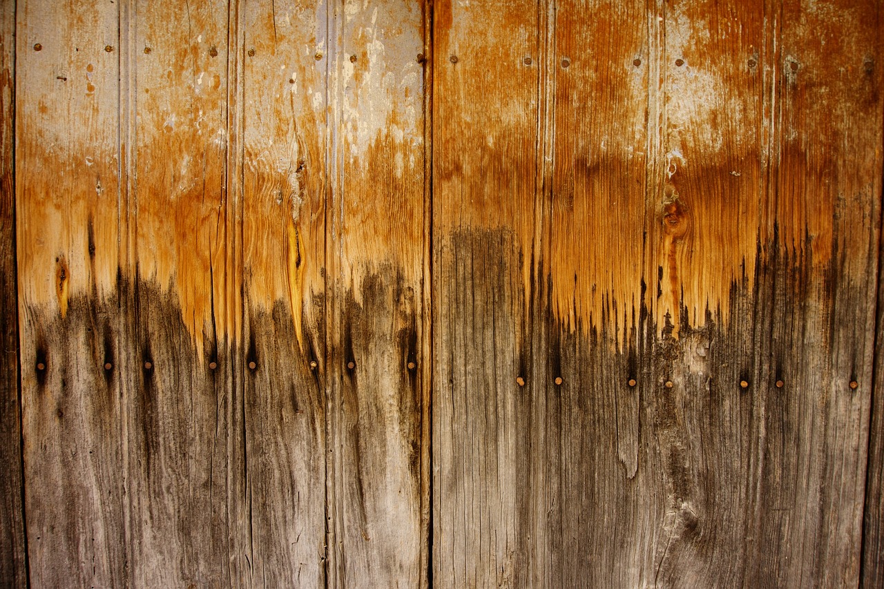 door wood texture free photo