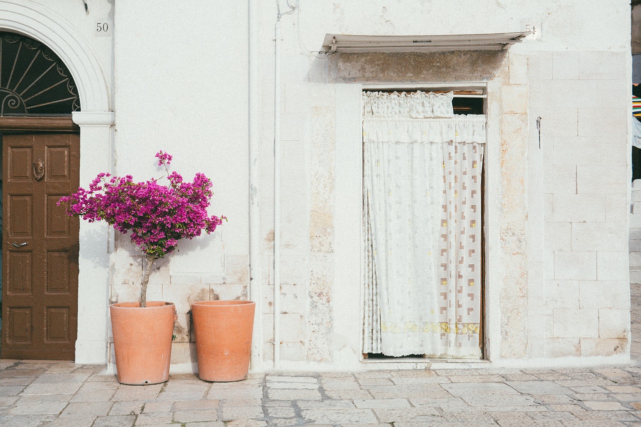 door wall flower free photo