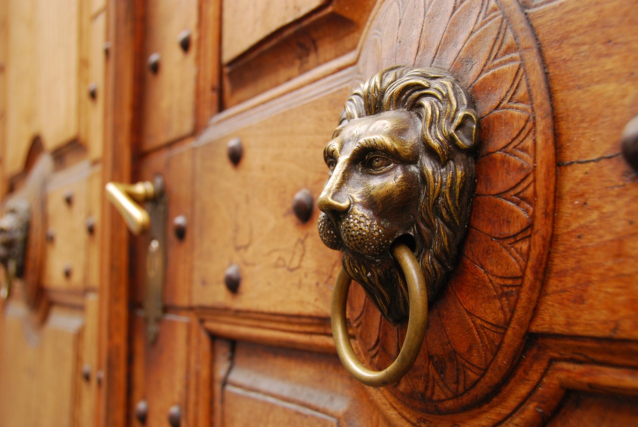 door wood lion free photo