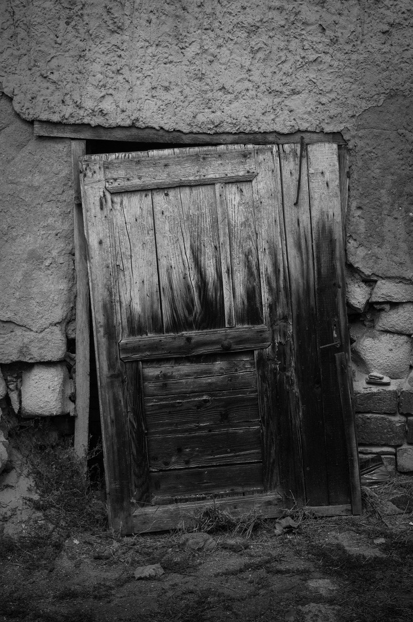 door black white free photo