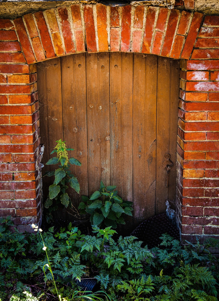 door plant bricks free photo