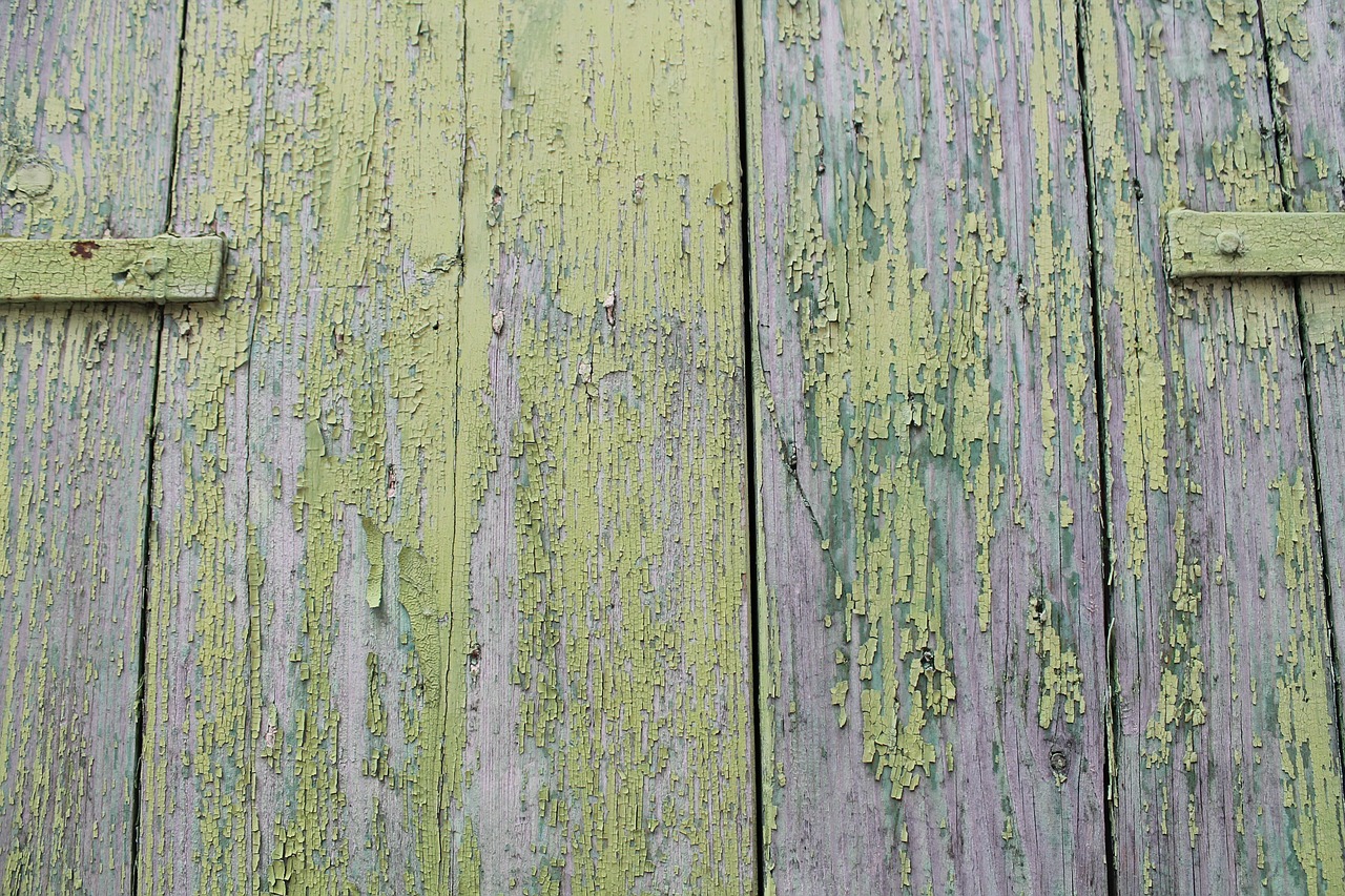 door paint color free photo