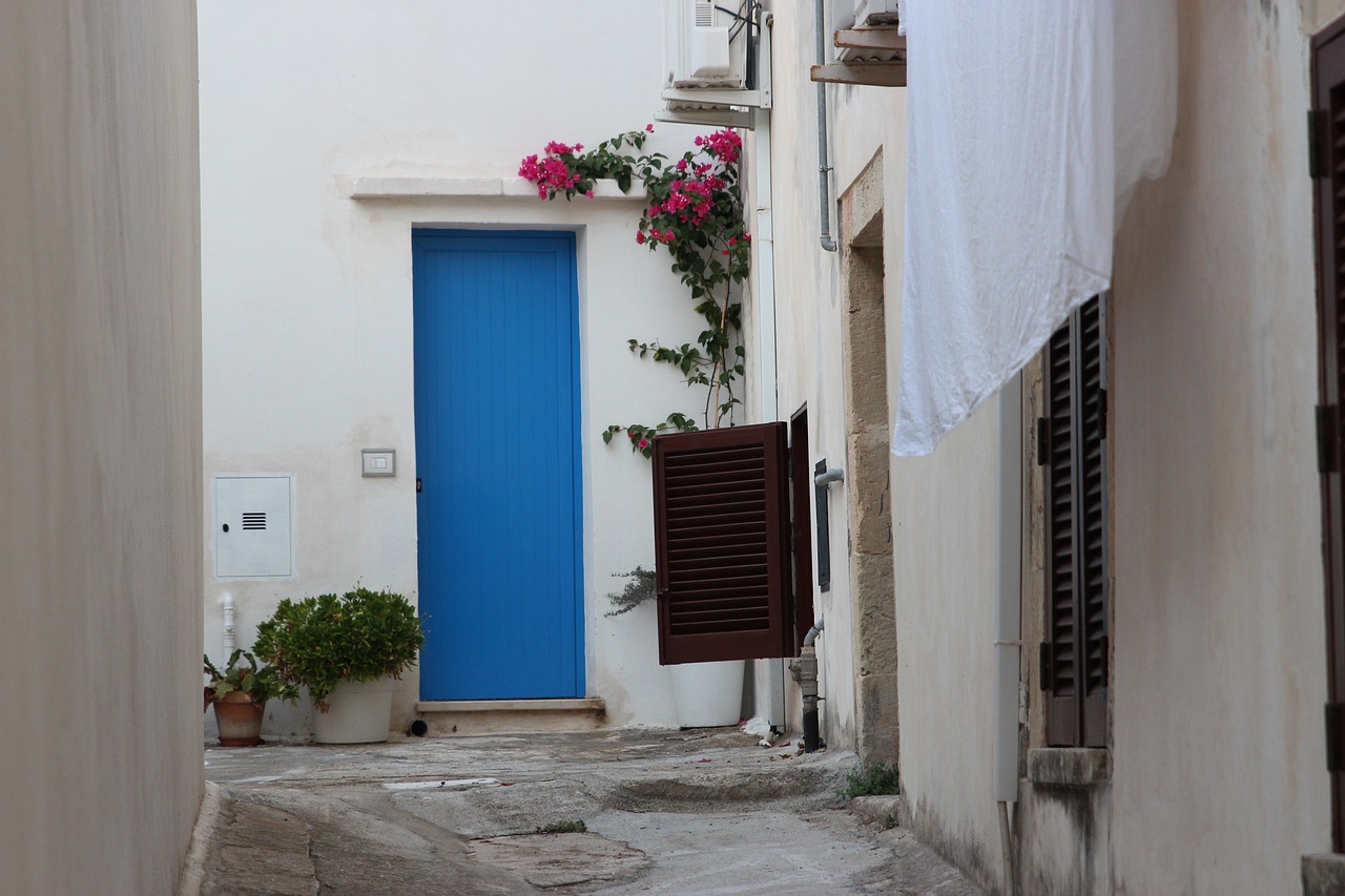 door blue white free photo