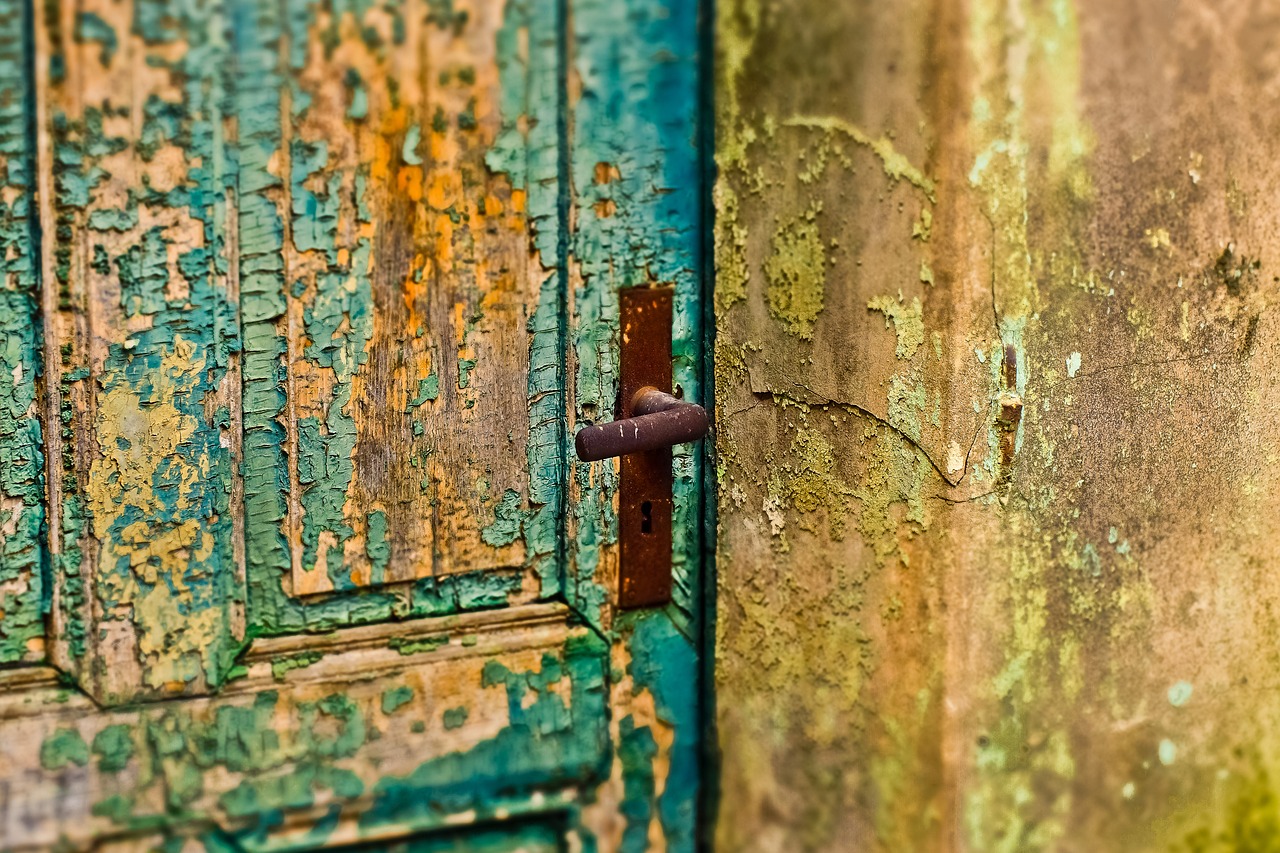 door  flake  old free photo