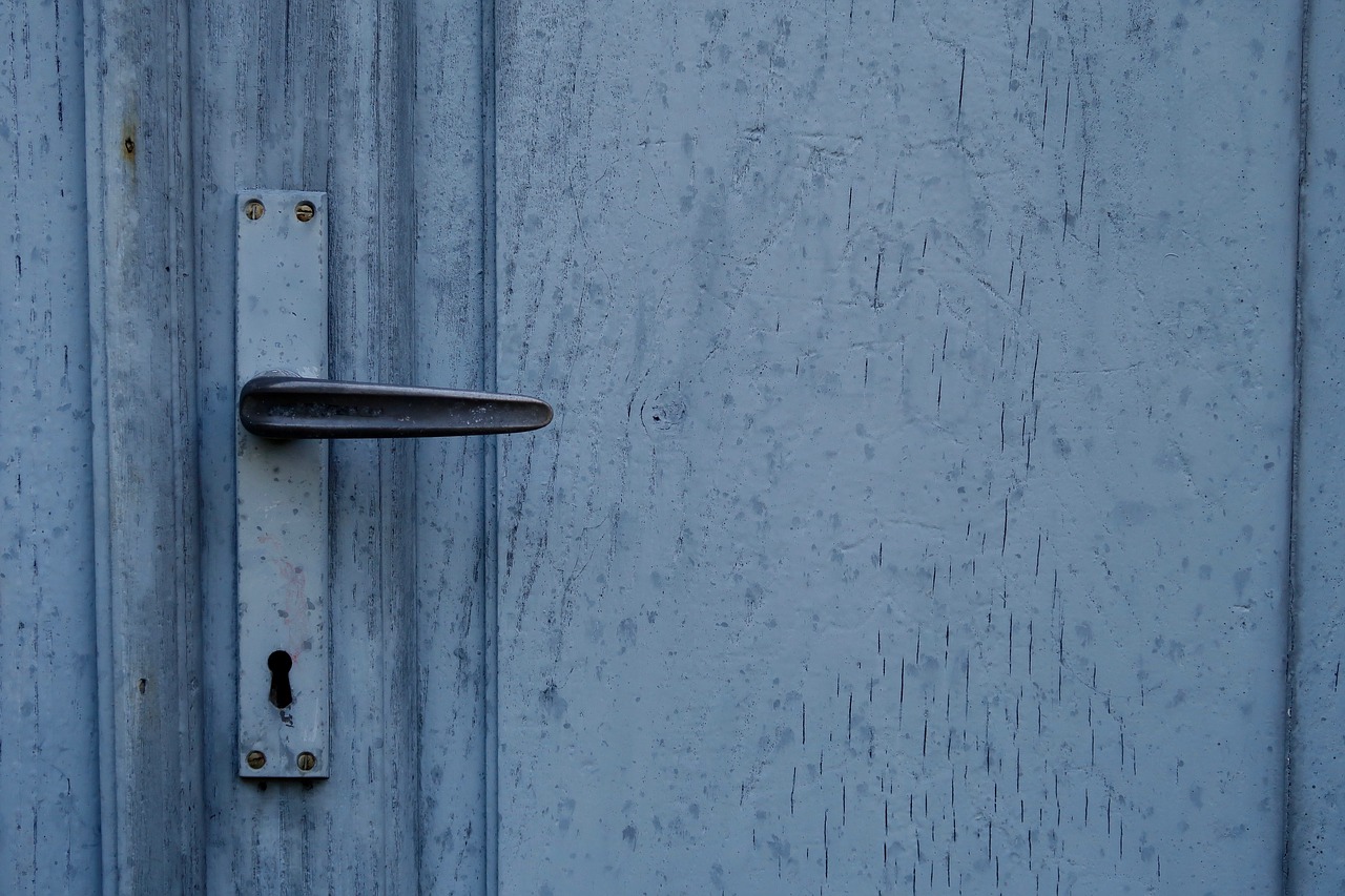 door  door lock  door handle free photo