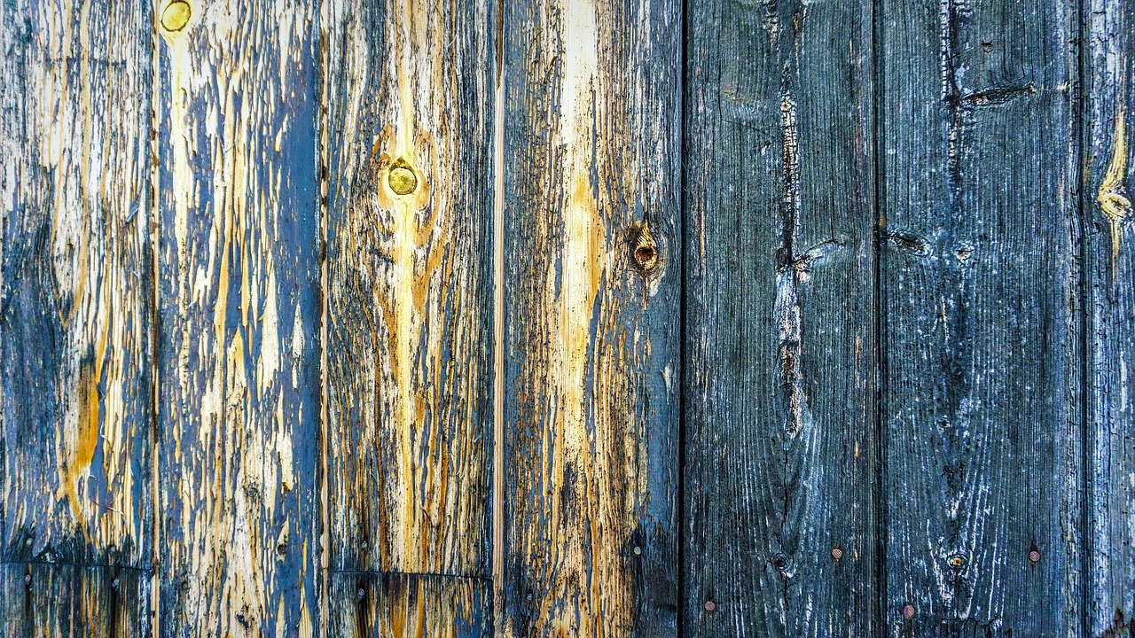 door  old  wood free photo