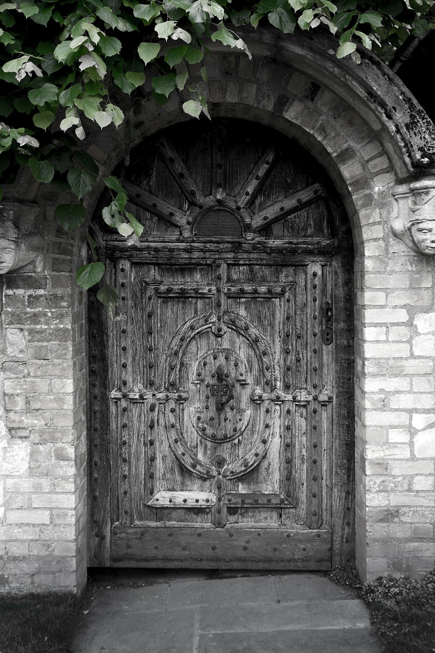 door oak door iron studs free photo