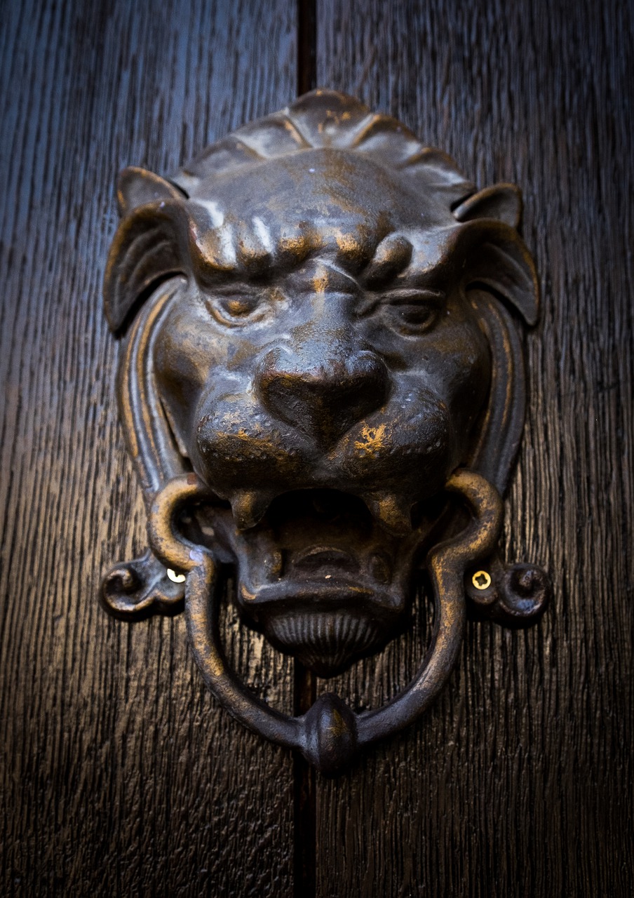 door  lion  entry free photo