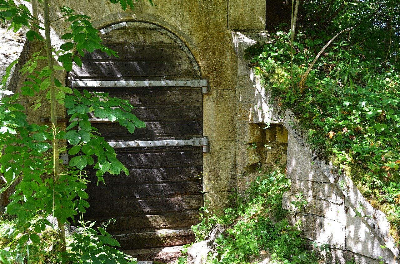 door fort wall free photo