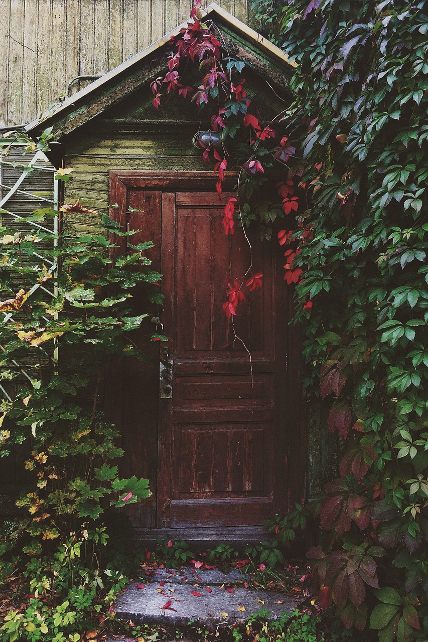 door entrance wooden free photo