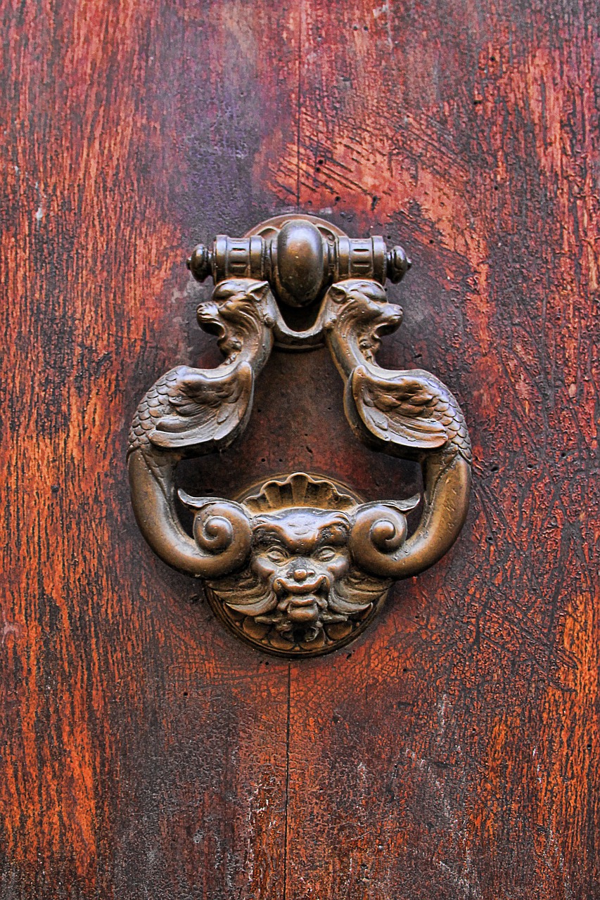 door doorknocker wood free photo