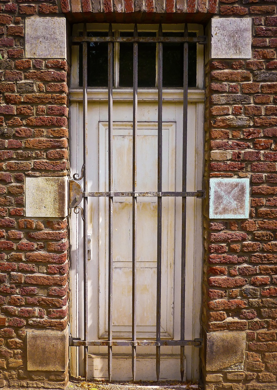 door grid input free photo