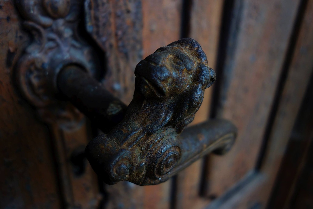 door handle lion fittings free photo