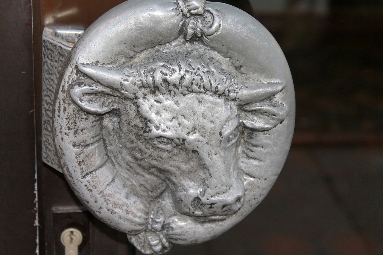 door handle cow outside door handle free photo