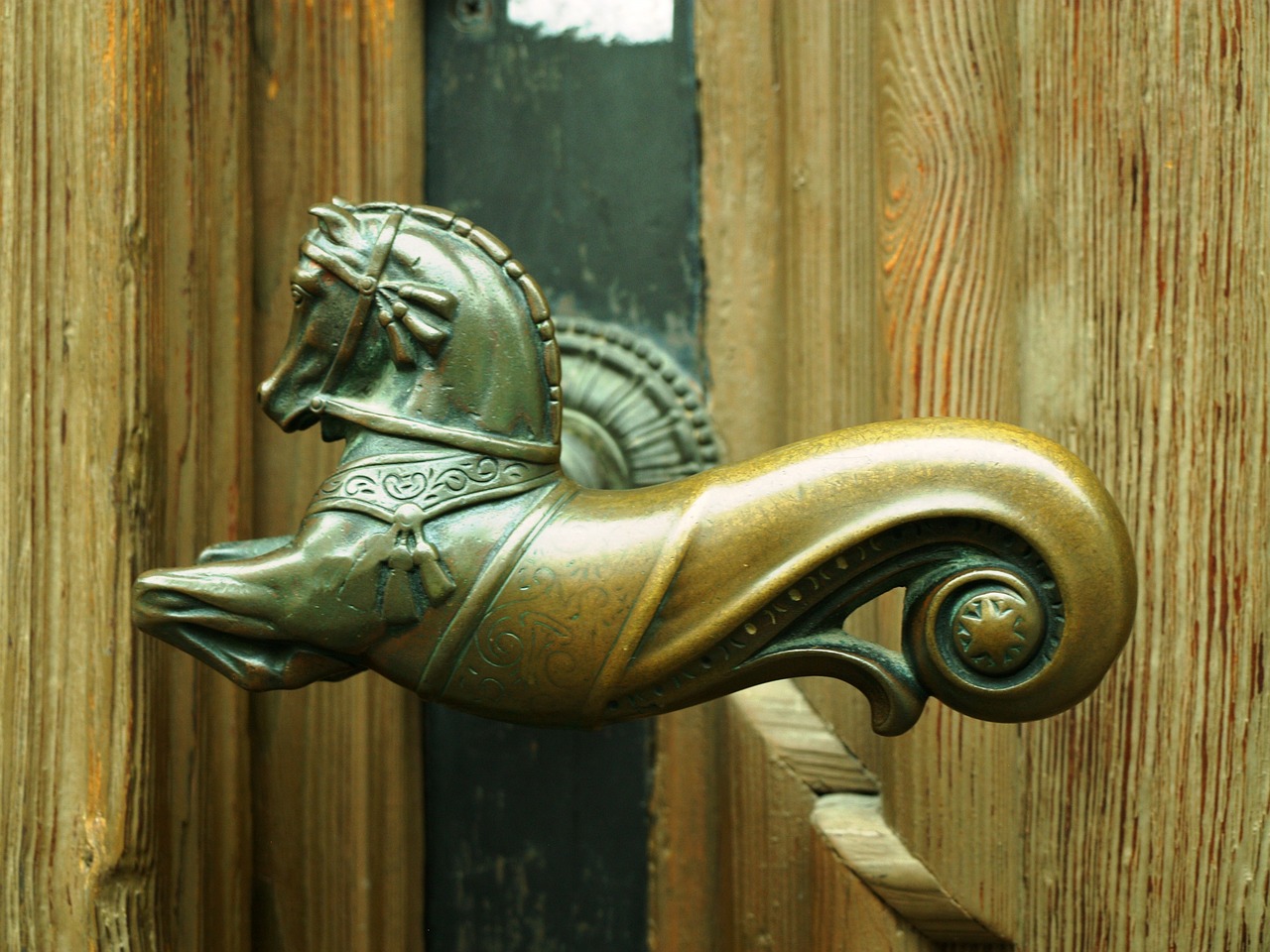 door knob horse metal free photo