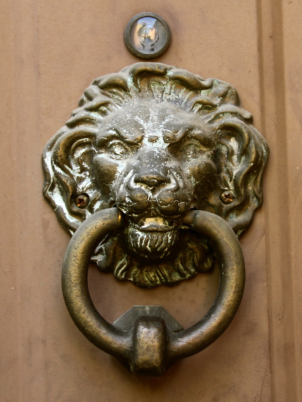 door knocker lion head vintage free photo