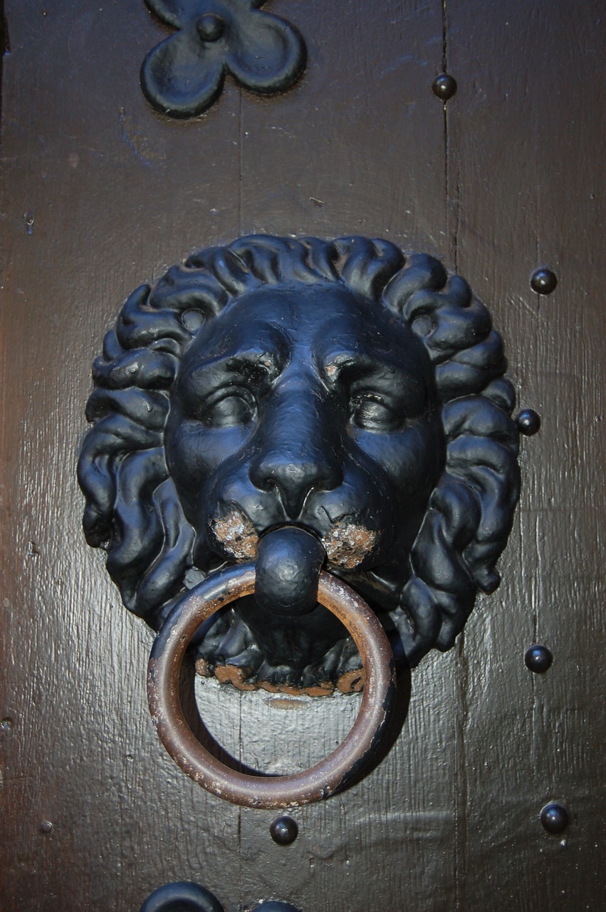 door knocker lion wood free photo