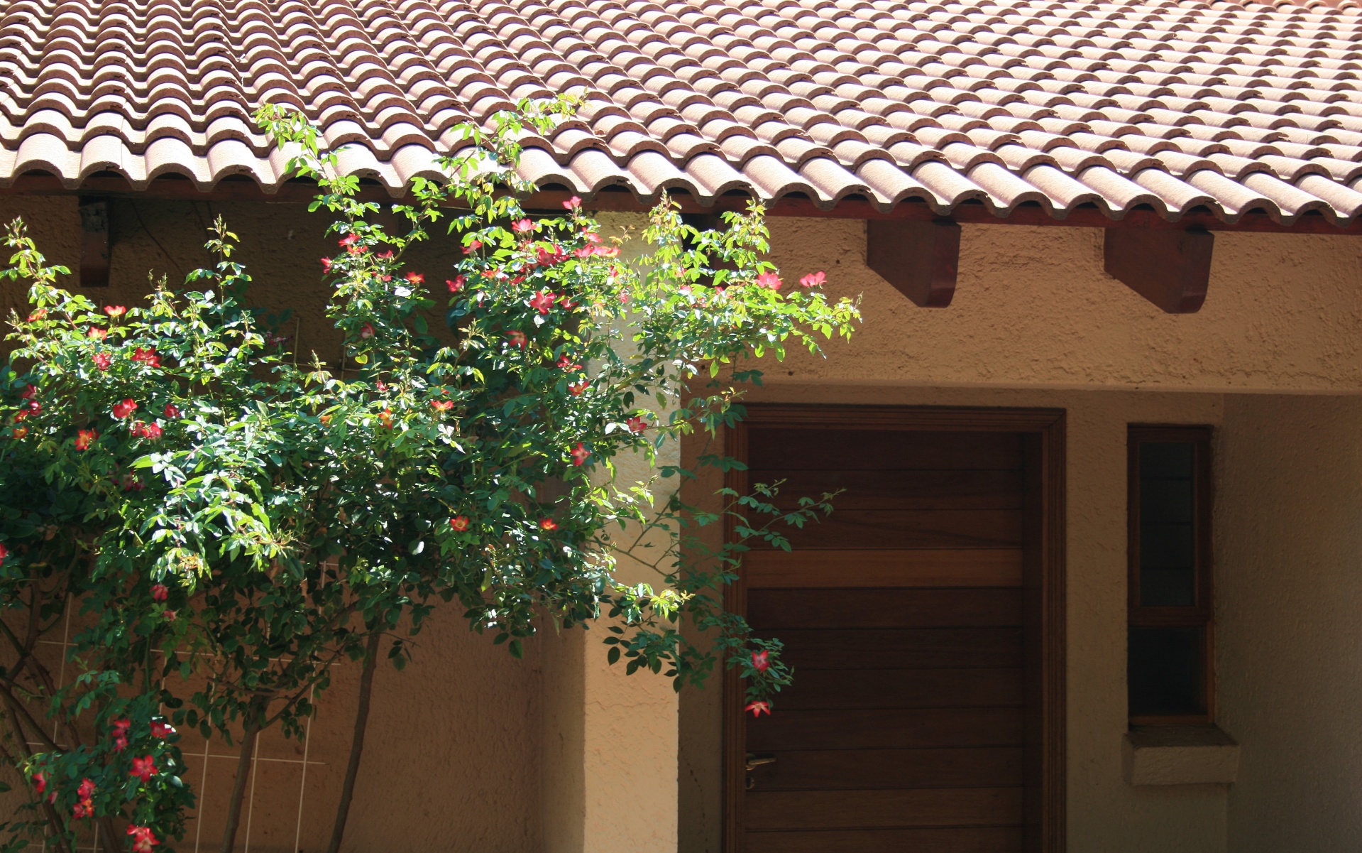 cottage back door roof free photo