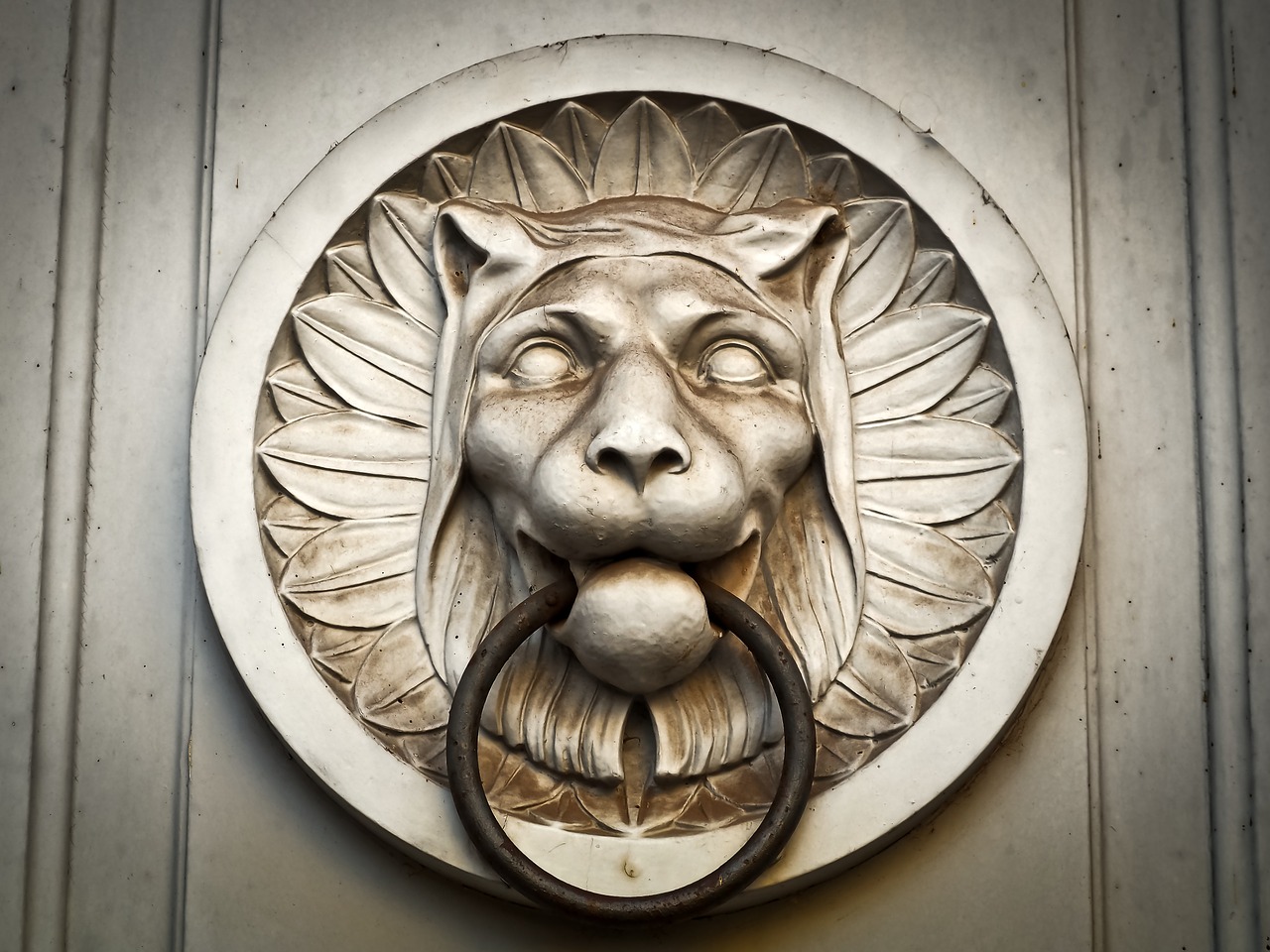 doorknocker church lion free photo