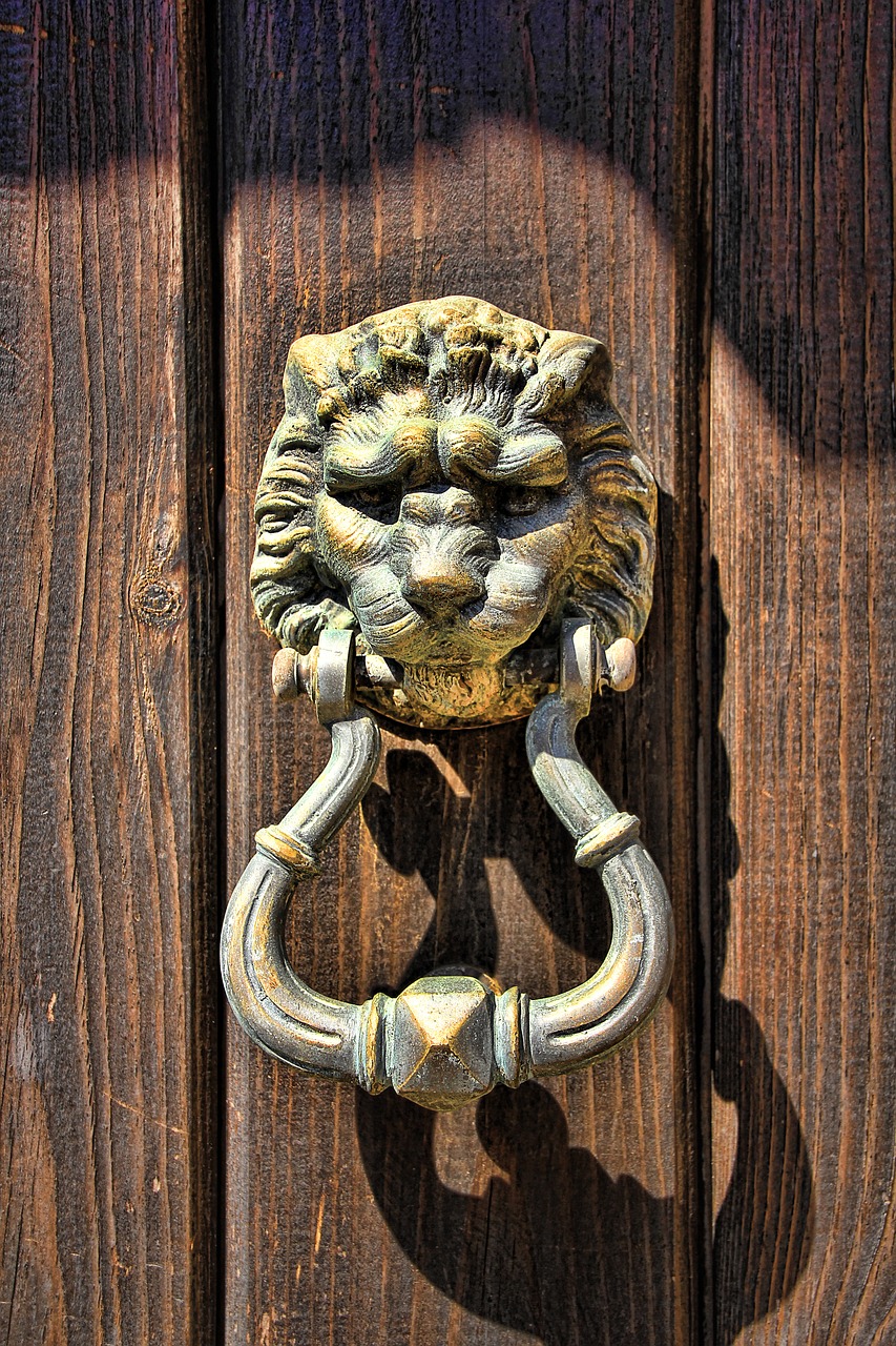 doorknocker lion head door free photo