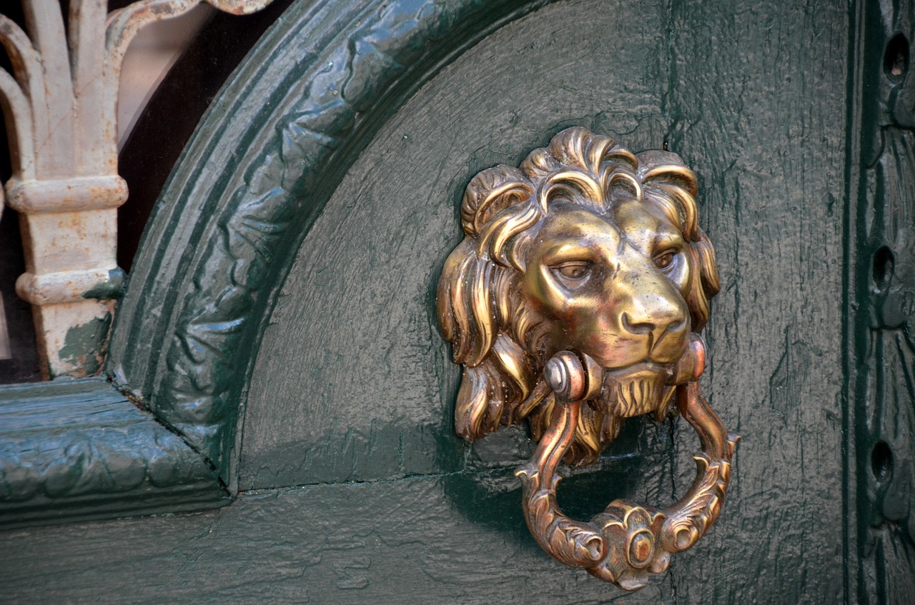 doorknocker lion input free photo