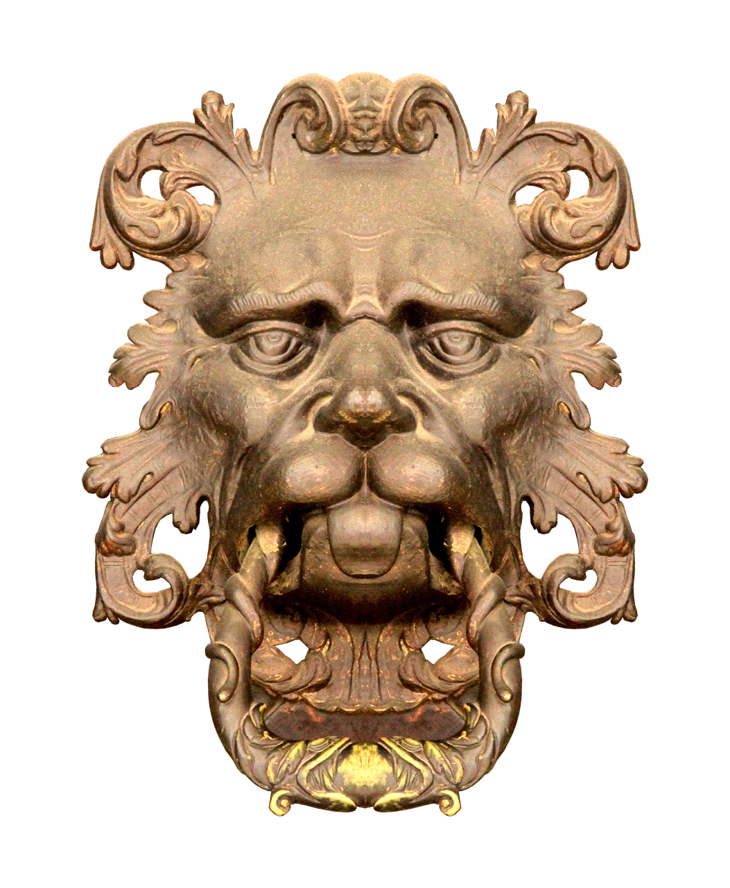 doorknocker lion lion head free photo