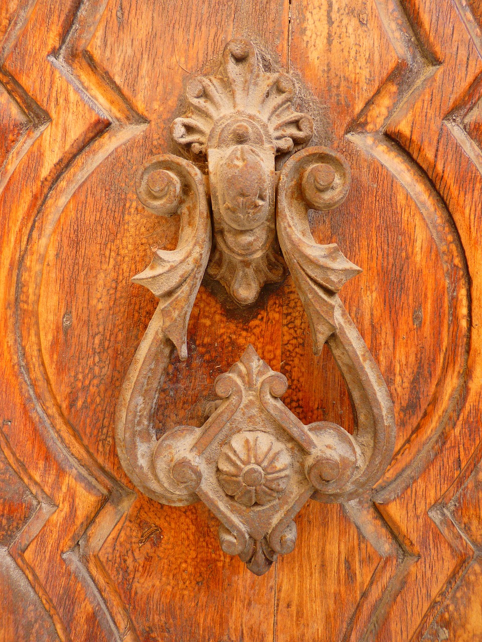 doorknocker door wood free photo