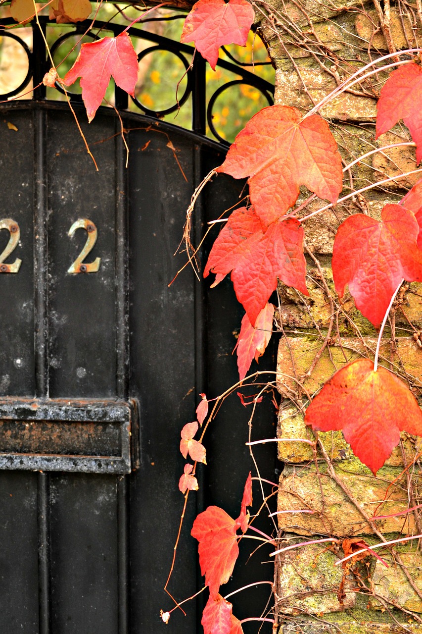 doors autumn leaves free photo