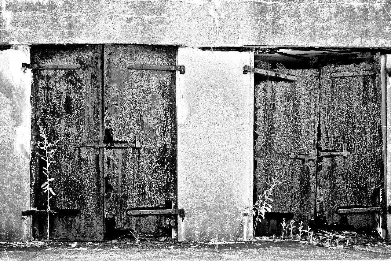 doors old entry free photo