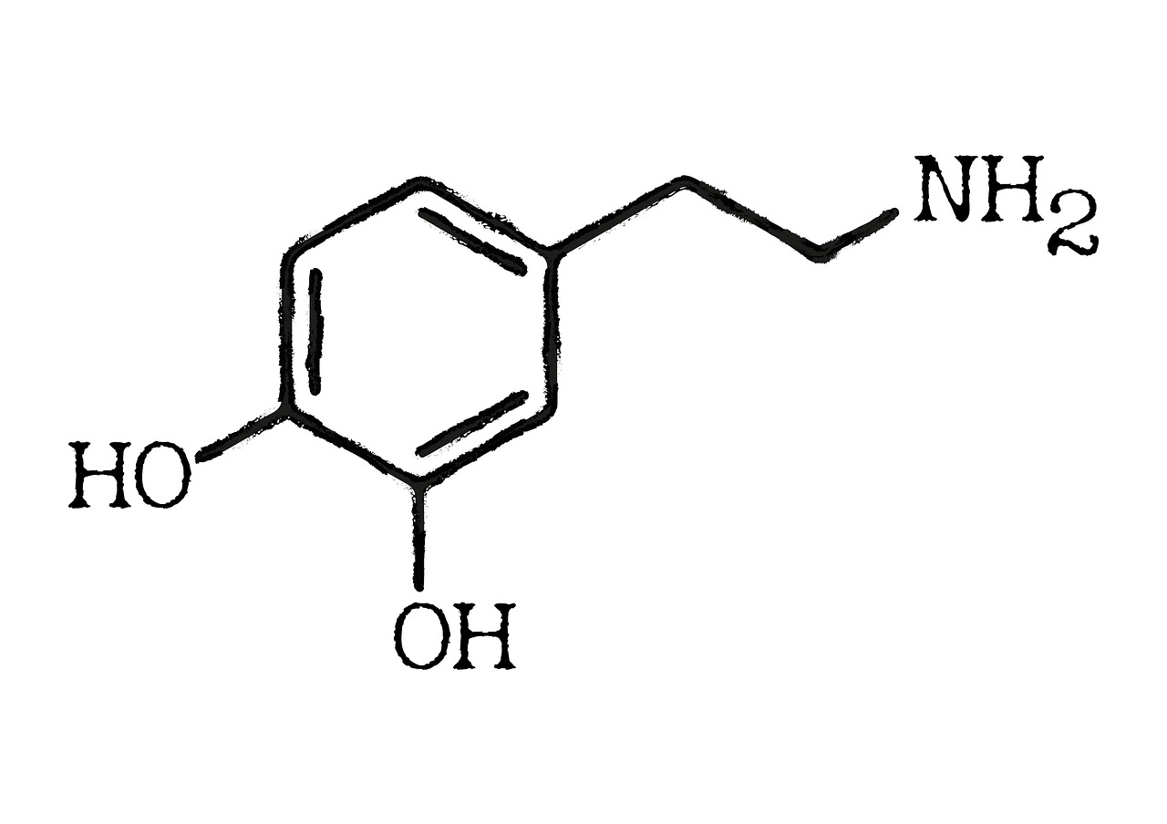 dopamine  the  feel free photo