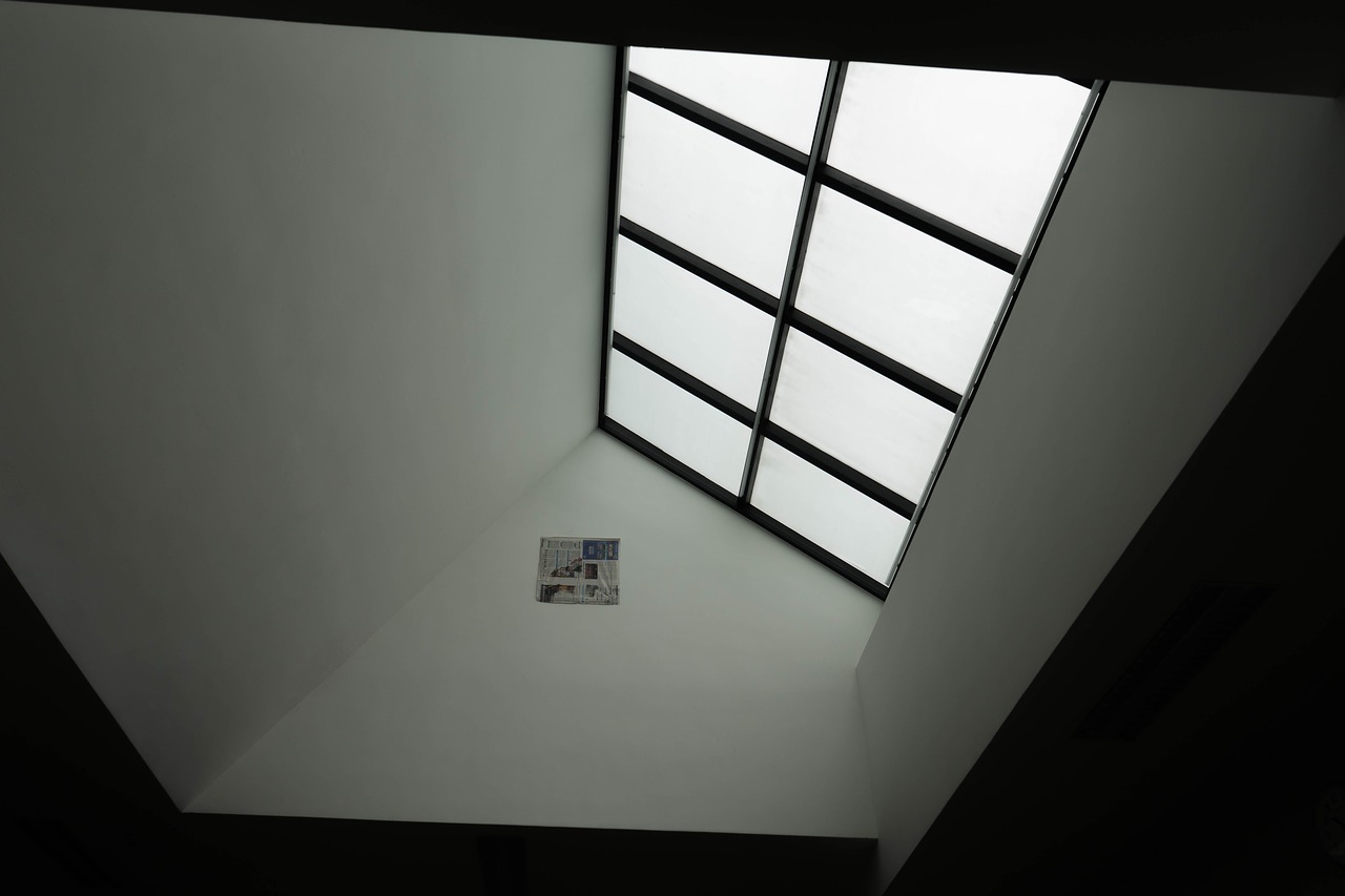 dormer black and white indoor free photo