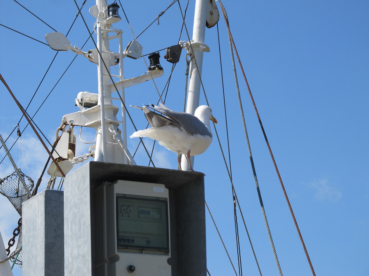 dornumer siel north sea fishing free photo