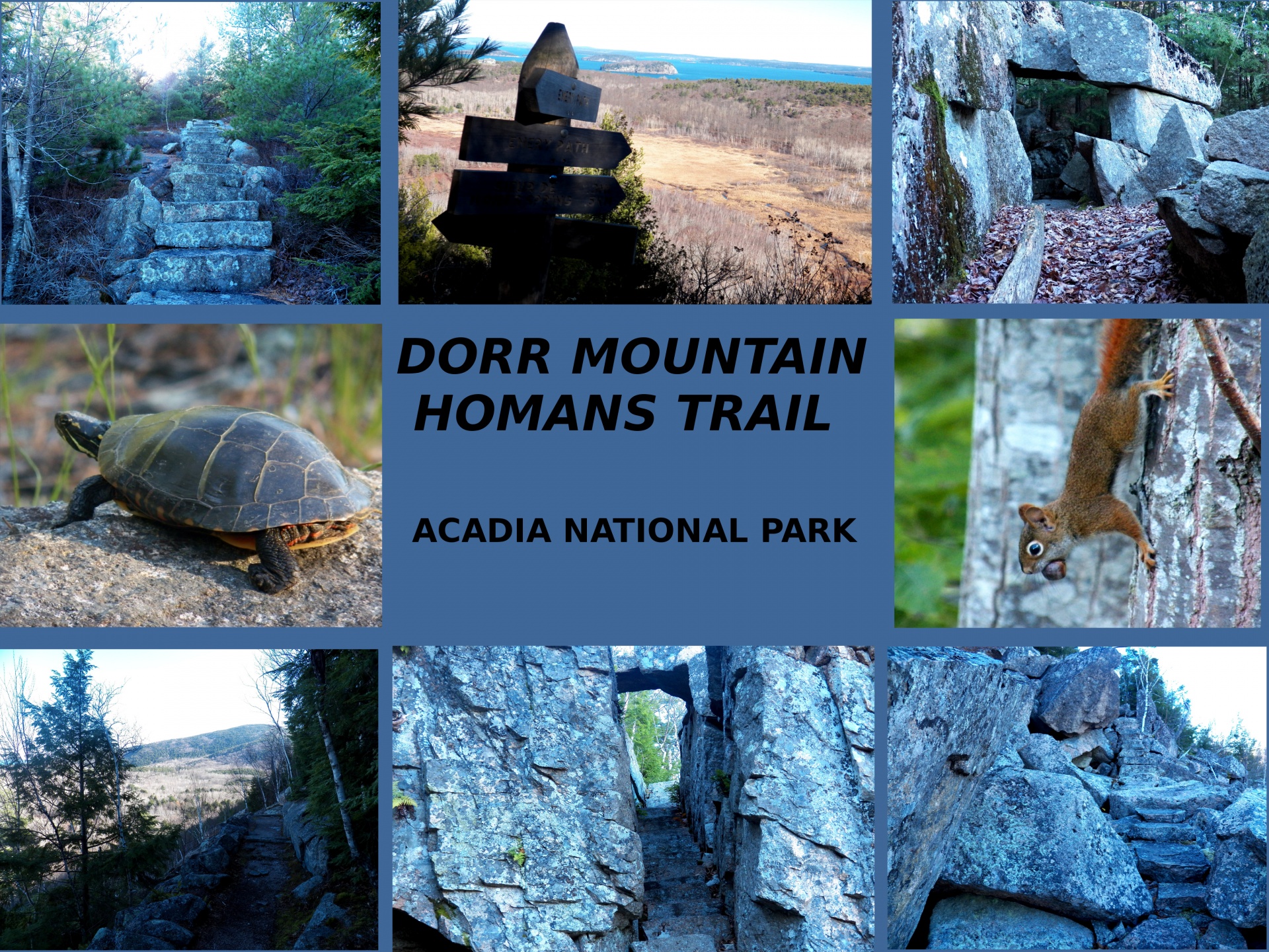 dorr mountain homans trail hiking free photo