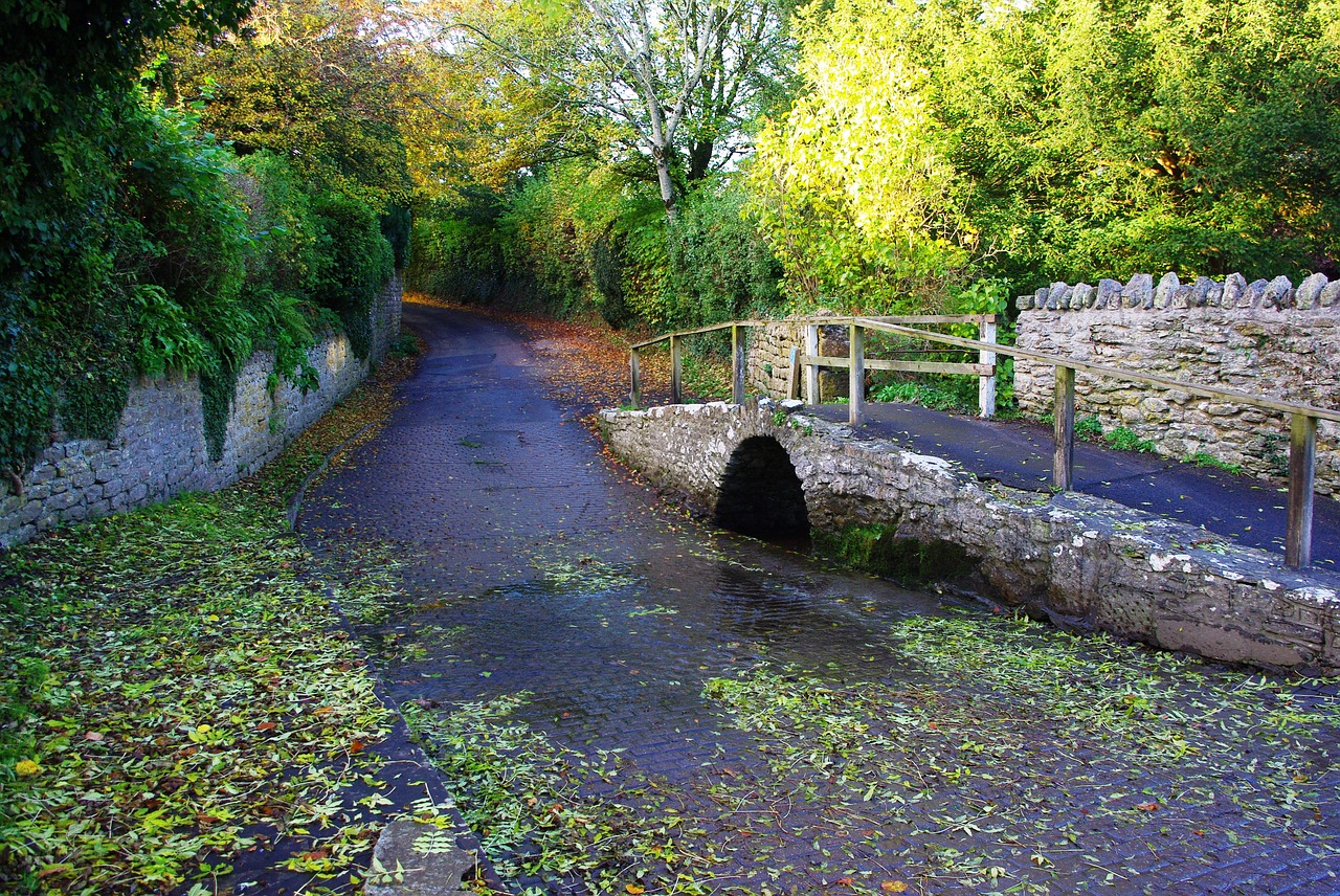 dorset village autumn free photo