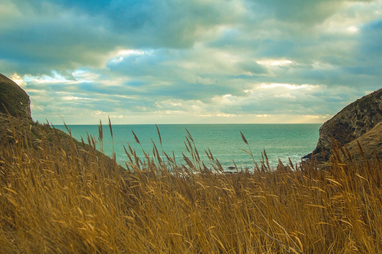 dorset sea worbarrow bay free photo