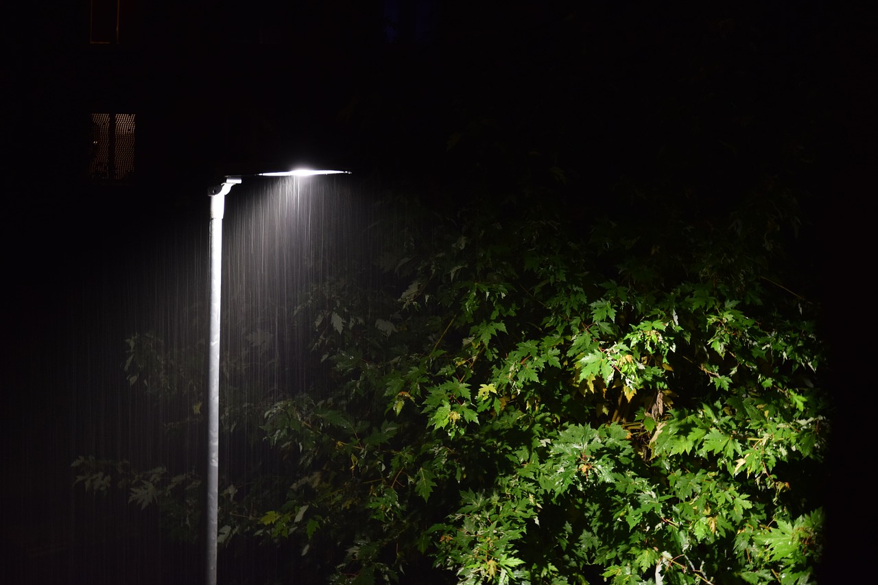 rain lantern tree free photo