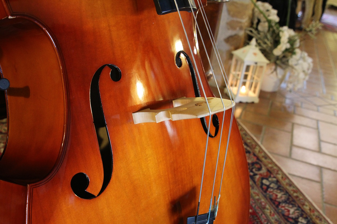 double bass musical instruments archi free photo