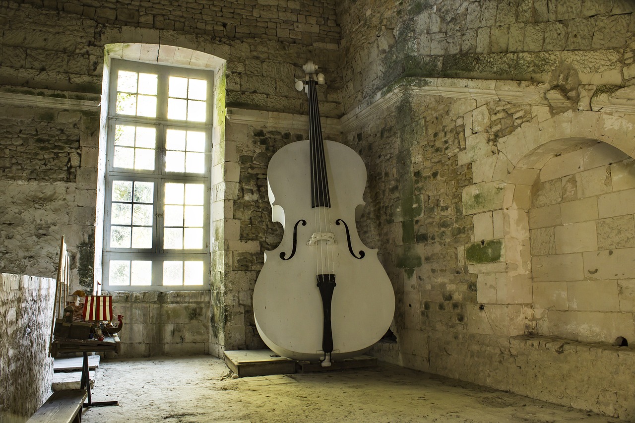 double bass  music  instrument free photo