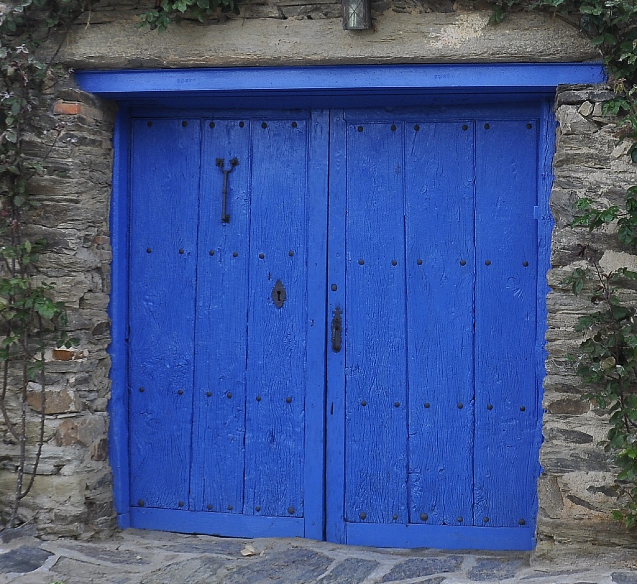 double doors blue entrance free photo