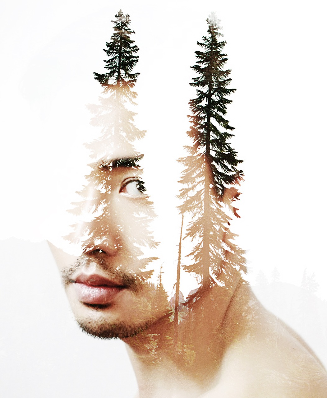 double exposure photographing contact free photo