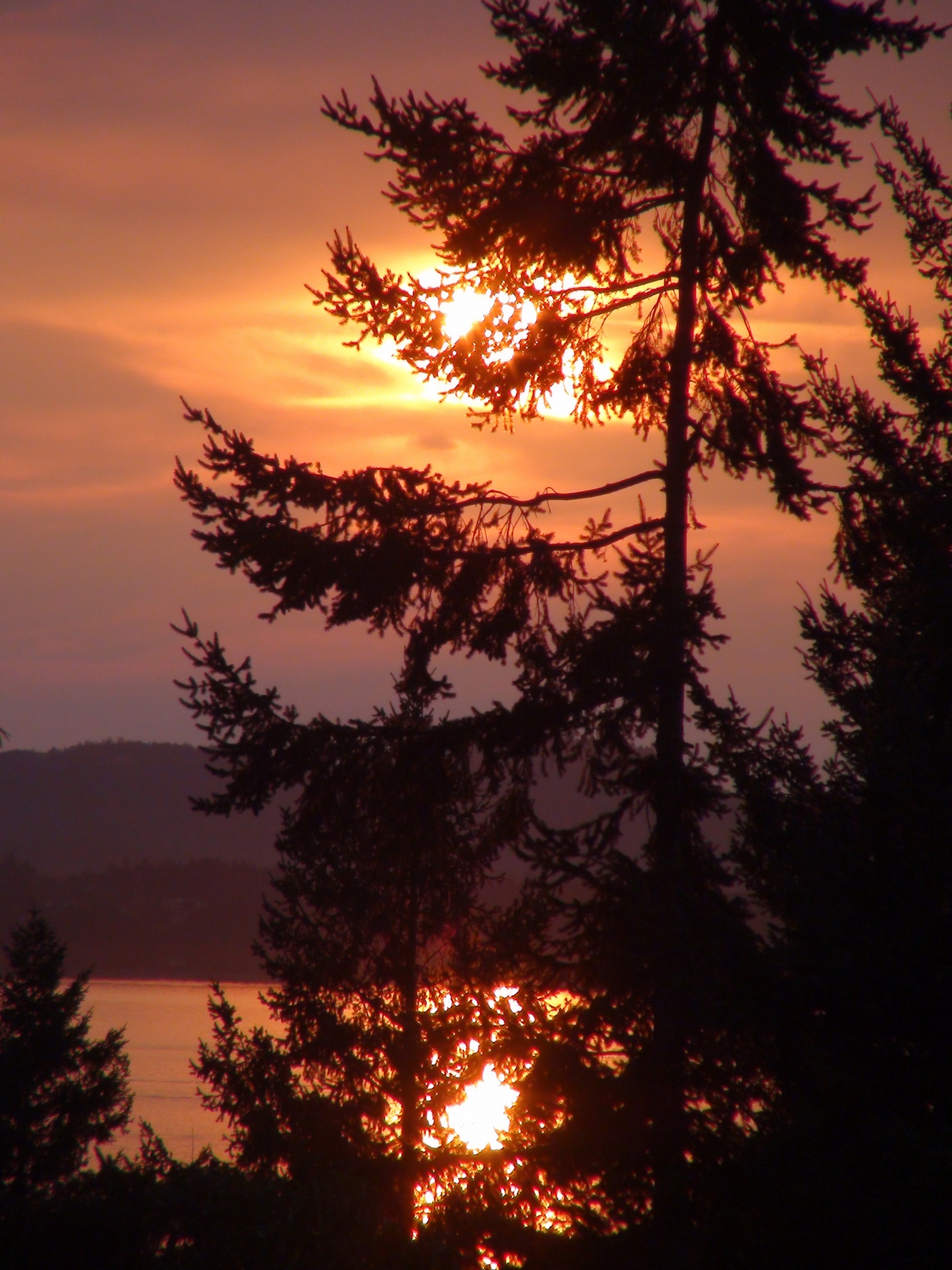 sunset water mirror image free photo