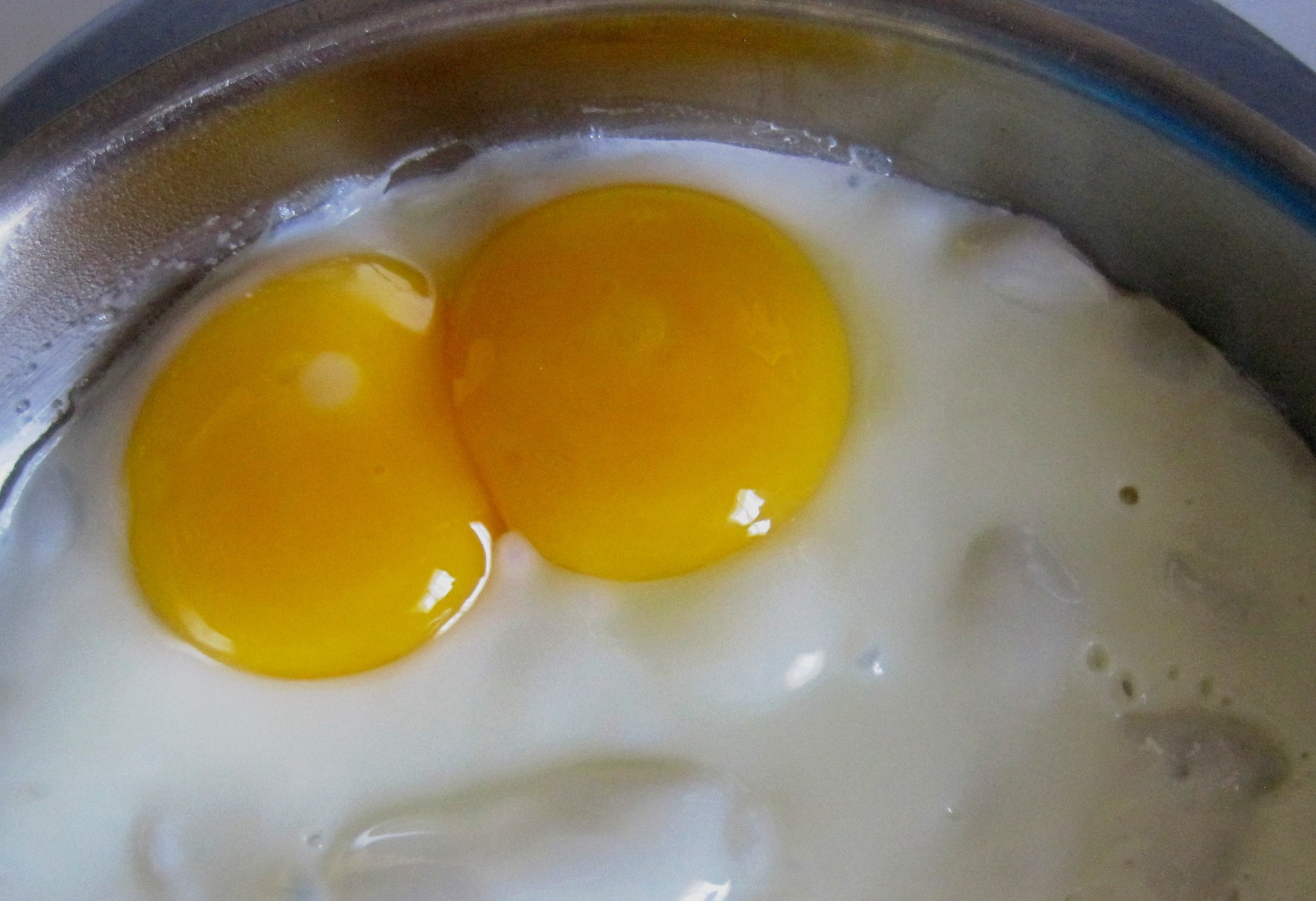 egg yolk two free photo