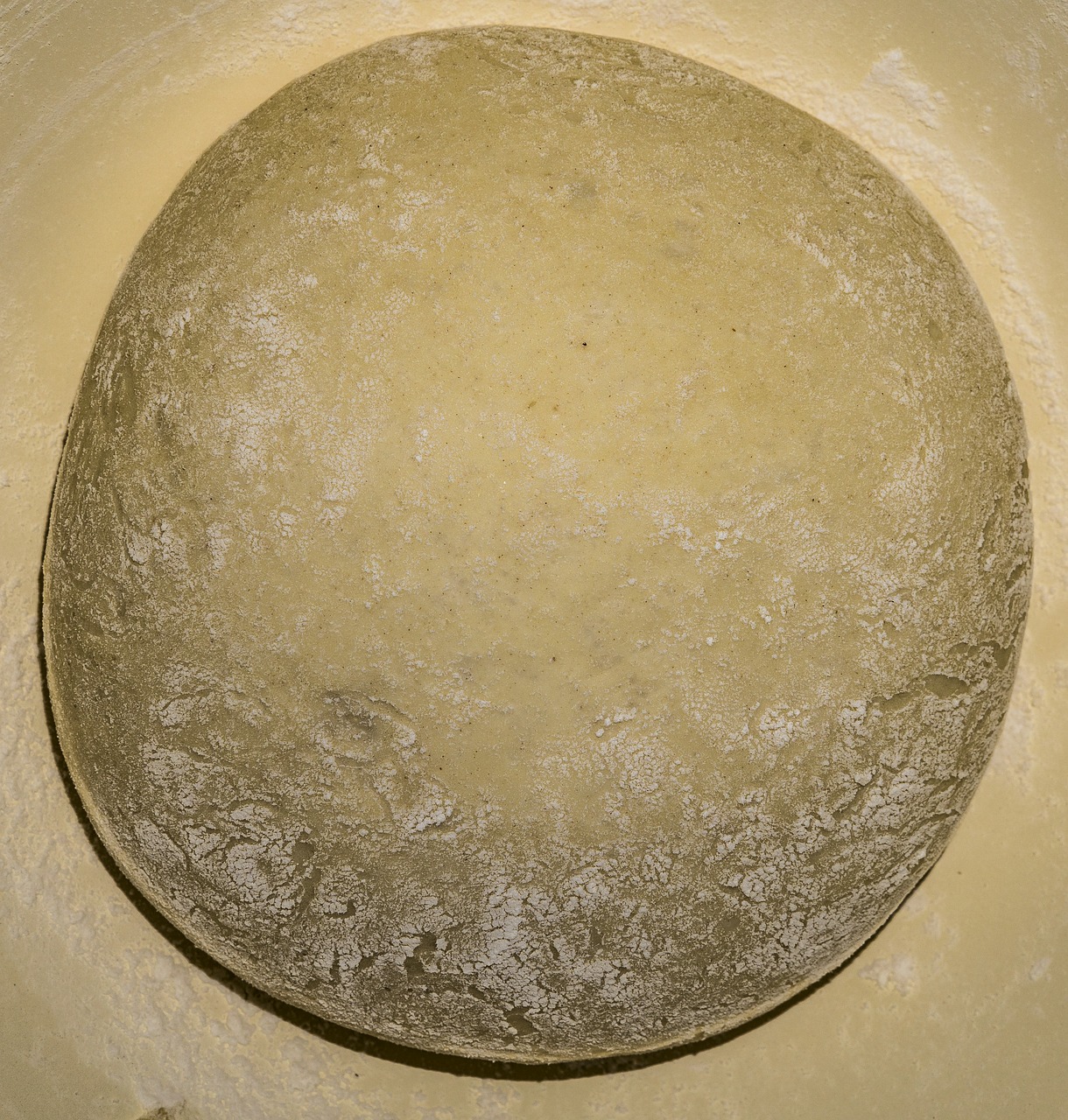 dough yeast pizza dough free photo